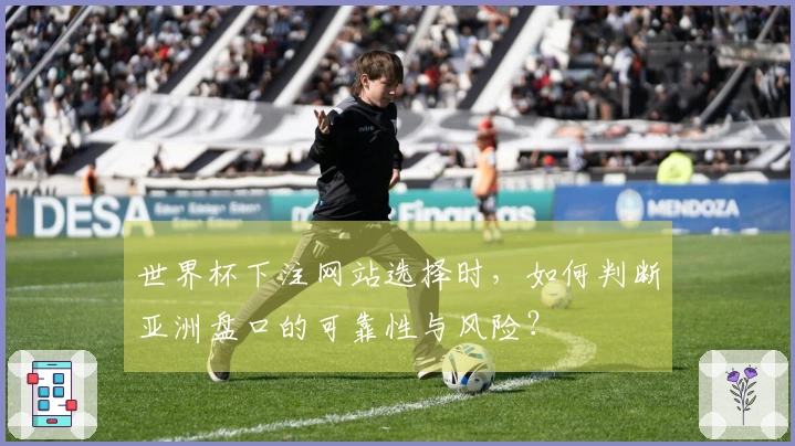 世界杯下注网站选择时，如何判断亚洲盘口的可靠性与风险？
