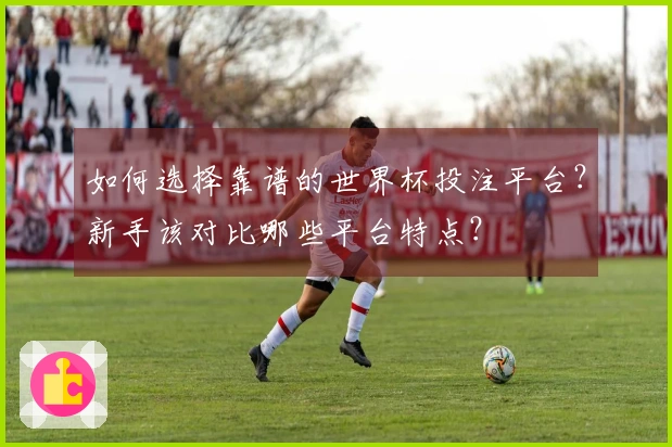 如何选择靠谱的世界杯投注平台？新手该对比哪些平台特点？