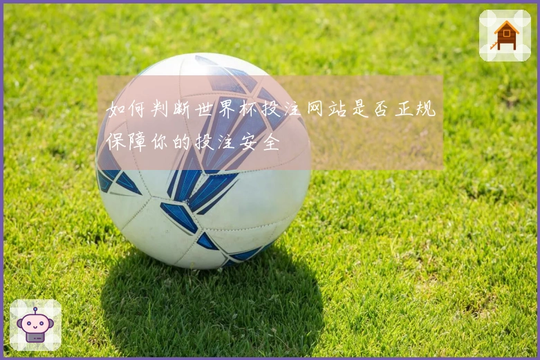如何判断世界杯投注网站是否正规保障你的投注安全