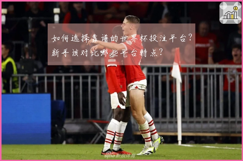 如何选择靠谱的世界杯投注平台？新手该对比哪些平台特点？